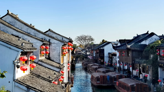 Desde múltiples ciudades|Excursión de un día en Suzhou: Jardín del Administrador Humilde + calle Shantang + Colina del Tigre + Puerta Panmen con servicio de coche privado con conductor/incluye recogida en hotel