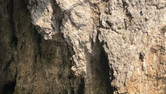 Lefkimmi to Syvota: Caves & Blue Lagoon Day Cruise