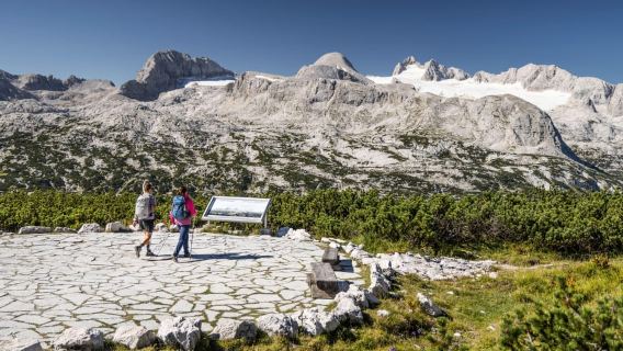 Dachstein Krippenstein: All-in-One Ticket