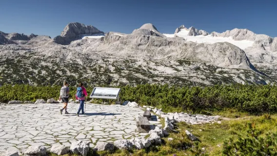 Dachstein Krippenstein: All-in-One Ticket