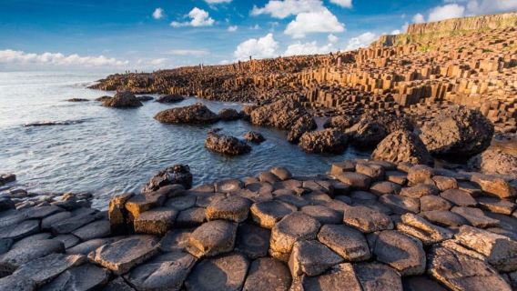 Giant's Causeway + Dark Hedges Day Tour