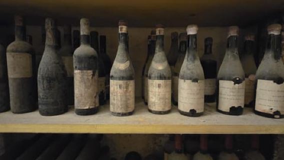 From Milan: Barolo Vineyards & UNESCO Wine Cellar Experience