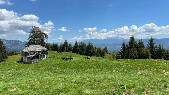 Muscel: The Hidden Trails: Full-Day Horseback Exploration