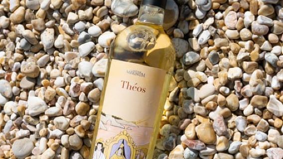 Gargano Wine Tasting