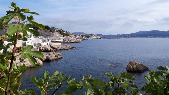 Marseille: Hidden Coves Exploration & Treasure Hunt