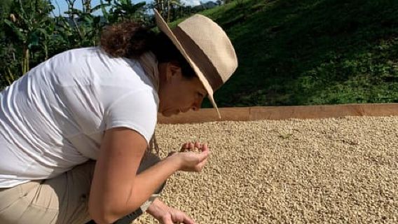 Coffee Tour and Jeep Tour at Finca Mariposa in Jardin
