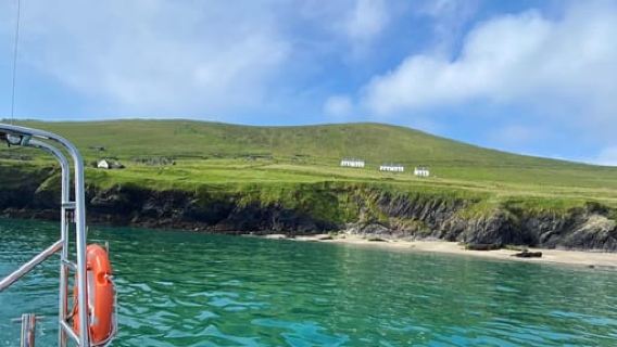 Dingle: Wonders of Blasket Islands Sea Life Boat Tour