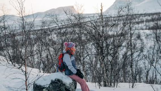Abisko: Senderismo fotográfico con un fotógrafo profesional