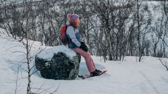 Abisko: Photo Hike with Professional Photographer