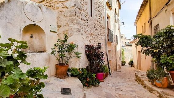 AlicanteTours