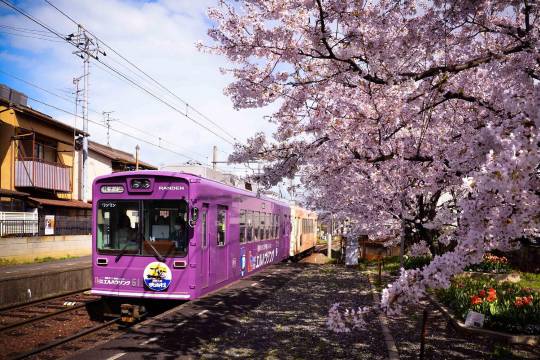 Japan JR Kansai Area Rail Pass