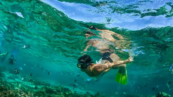 泰國芭達雅+格蘭島一日遊【特惠熱賣】私人沙灘，均贈送浮潛