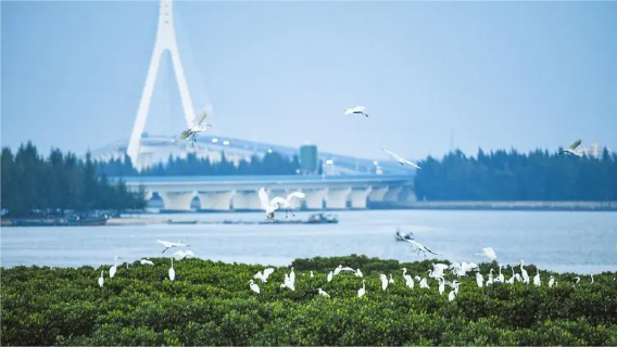 HaikouTours