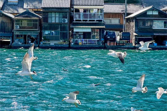 One-day tour to Amanohashidate, Kyoto, Japan