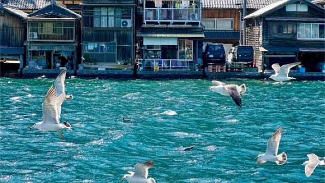 [Reiseleiter in Chinesisch und Englisch · Doppelter Treffpunkt] Tagesausflug zu den drei Sehenswürdigkeiten von Kyoto am Meer: Amanohashidate + Bootshäuser in Ine