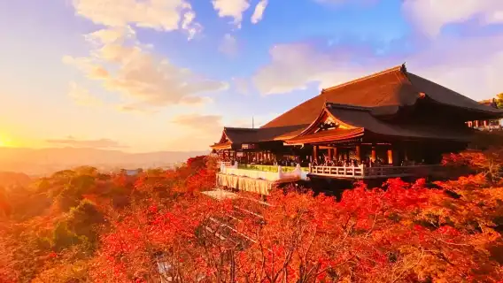 ทัวร์วันเดียว/ทัวร์หลายวัน แสนน่ารักแบบคลาสสิกที่เกียวโตและนารา [อัปเกรดเป็น 9 คนสำหรับกลุ่มเล็กพร้อมบริการรับที่โรงแรม]