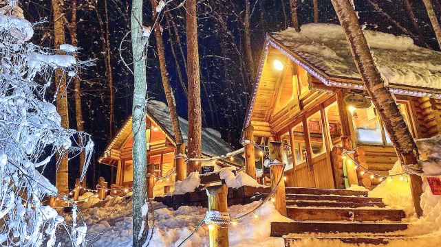 Asahikawa Zoo Day Tour