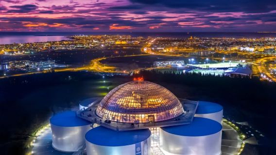 ช่วงเวลาครอบครัวในเรคยาวิก ไอซ์แลนด์ ชมแสงออโรร่า+ดูปลาวาฬ+โบสถ์ (เหมารถพร้อมไกด์ภาษาจีน/อังกฤษ)