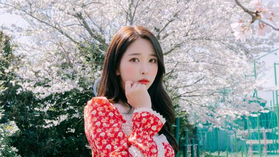 美國安多佛Trip Moments【司機兼導遊兼Trip Moments航拍+婚紗攝影微電影+化妝服裝+定制包車】