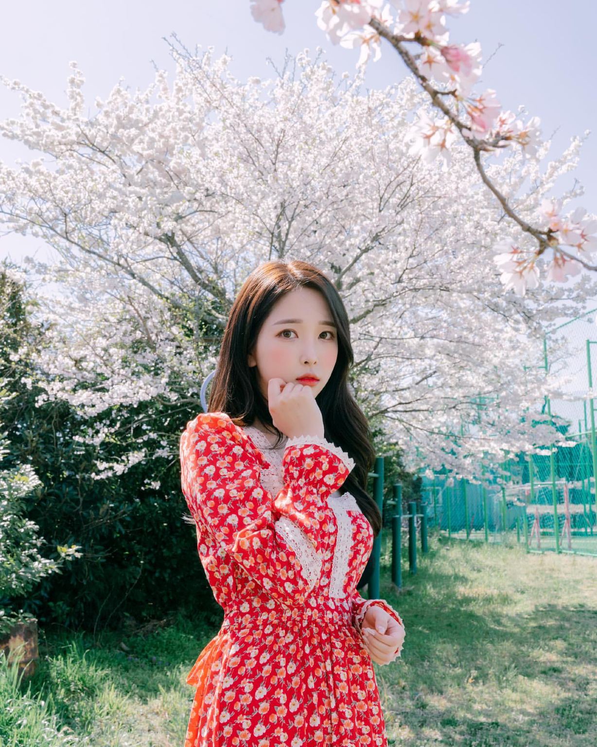 Andover Travel Photography in the US[Driver-guide with travel photography & aerial shooting + wedding photography & micro films + makeup & costumes + customized private charter]