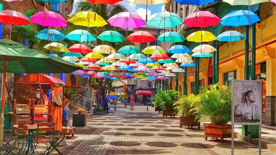 one-day tour of northern cities in Mauritius [Port Louis |Fortress Hill|Royal Botanic Gardens, Royal Botanic Gardens