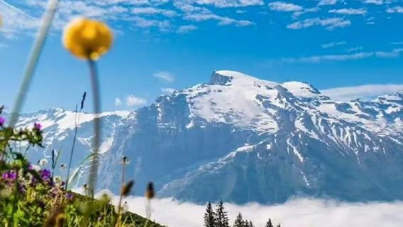 瑞士-盧塞恩-鐵力士山|永恆雪山之旅|可客製化