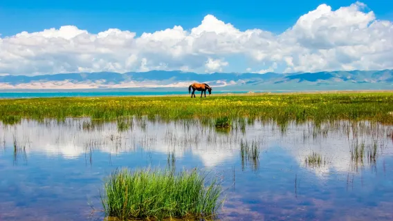 Plongez dans les couleurs de la nature : la montagne du Soleil et de la Lune et le lac Qinghai à Xining, en Chine + un Guide touristique professionnel parlant chinois et anglais (EA)