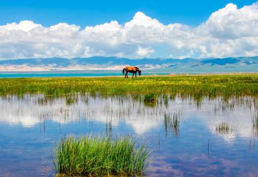 Immerse in Nature's Palette: Xining Riyue Mountains (Sun and Moon Mountains) + Qinghai Lake + Professional Bilingual Guide