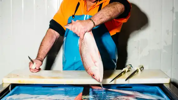 Sydney Fish Market: Behind-the-Scenes Auction Floor Tour