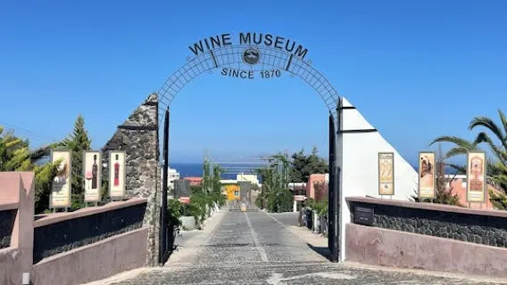 Santorini half-day family tour with wine museum visit