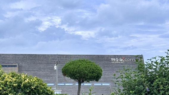 Qingdao departure Weihai Huaxia City + stranded freighter Blue West + Xingfumen one-day tour English service available