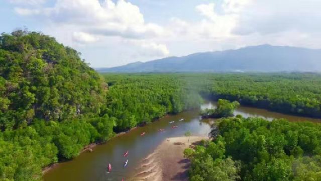 Experiencia de excursiones en kayak por los manglares de Tanjung Rhu en Langkawi (modelo de kayak de plataforma)