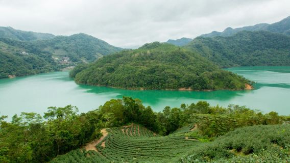 Thousand Island Lake & Pinglin Tea Plantation: Afternoon Tour from Taipei