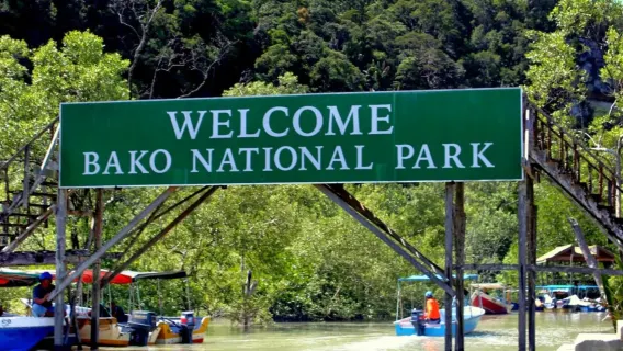 Bako-Nationalpark-Tagestour in Kuching mit Mittagessen