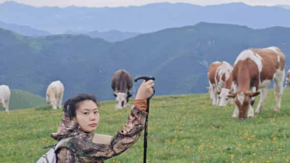 東靈山徒步10公里【北京高峰京郊阿勒泰】