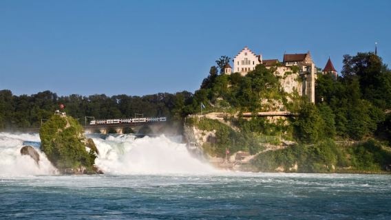 Zürich: Schwarzwald, Titisee und Rheinfall - Tagestour per Bus