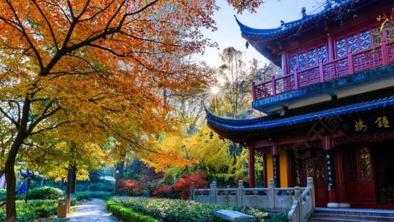 Nanjing: Boleto para adultos a la montaña Qixia