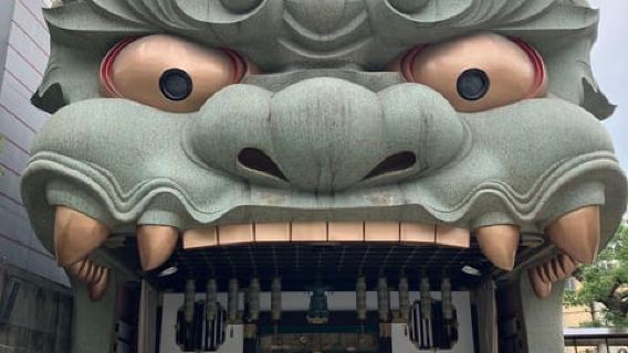Private Tour: Discover the Best of Osaka with a Local Guide