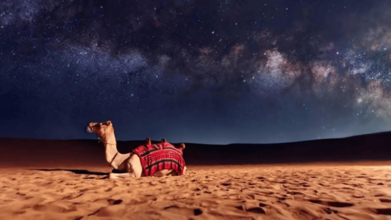 Safari dans le désert de Doha : balade à dos de chameau, sandboard et quad.
