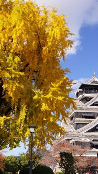 日本九州熊本城＋阿蘇山＋草千里＋南阿蘇鉄道列車ワンデーツアー