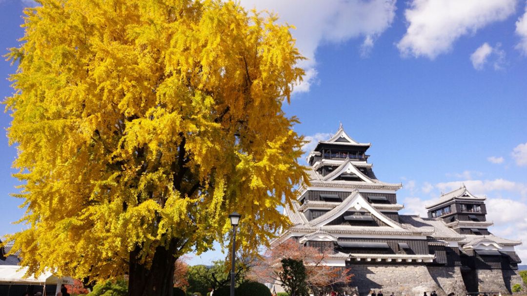 Free Aso Volcano Shuttle Bus: Kumamoto Castle, Mt. Aso, and Kusasenri Day Trip