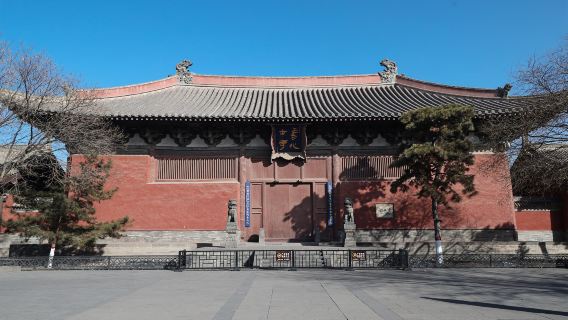 Однодневный тур с индивидуальным трансфером/арендой автомобиля с водителем: Земляные леса Шаньси, древний город Датун, старинный храм Шаньхуа и дворец Дайван с услугами на китайском и английском языках