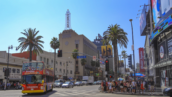 U.S. ESTA Travel Authorization|Multiple entries|Fast review,timely submission|Includes official fees