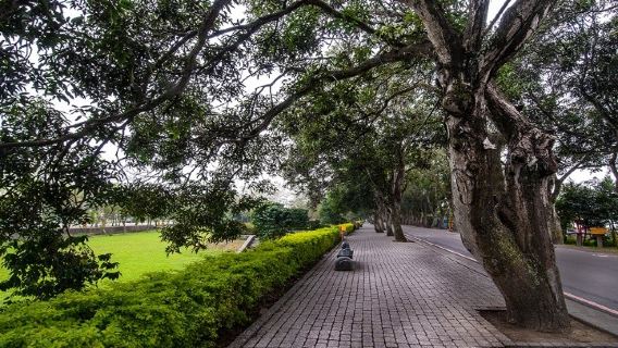 古坑環山林徑步道森呼吸一日遊