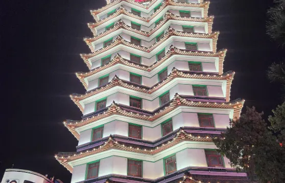 河南濮陽濮水小鎮+中原綠色莊園景區+戚城考古遺址一日遊中英文服務