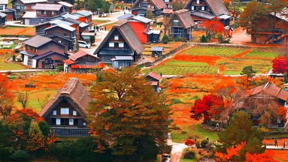 Однодневный тур из Нагоя в Такаяма и деревню Сиракава-го с возможностью выбора группового тура на 9 человек или автобусного тура