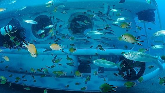 Submarino: Sumérgete en el océano Atlántico