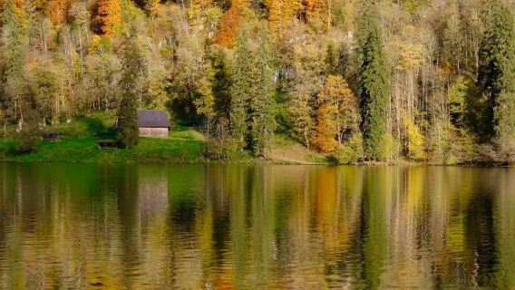 德國慕尼黑自然療癒|中文包車|可自訂行程