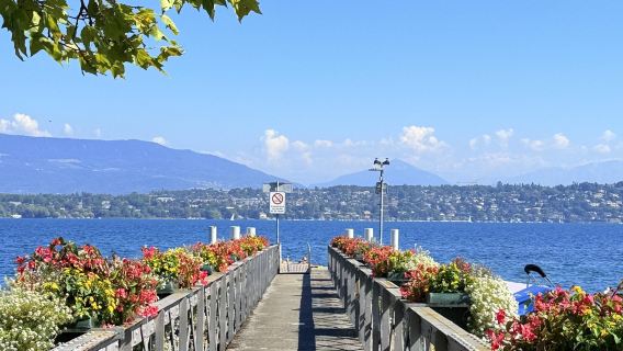 糧倉公園-日內瓦藝術與歷史博物館-鐘錶博物館-植物園