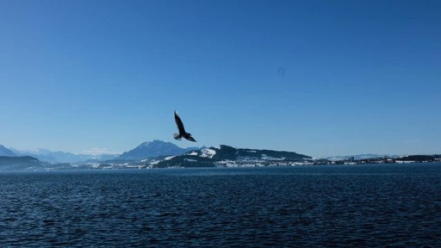 Berlepas dari Zurich, lawatan sehari ke pekan kecil Zug + berjalan-jalan di Tasik Zug